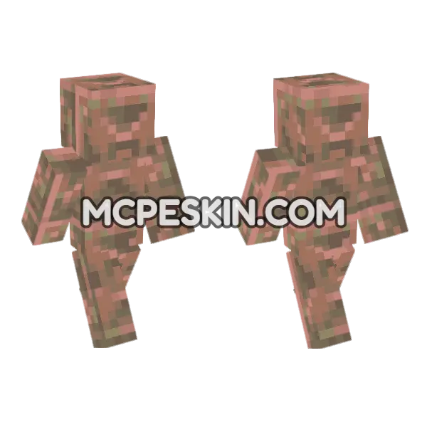 Exposed Chiseled Copper Minecraft Bedrock skin, front and back