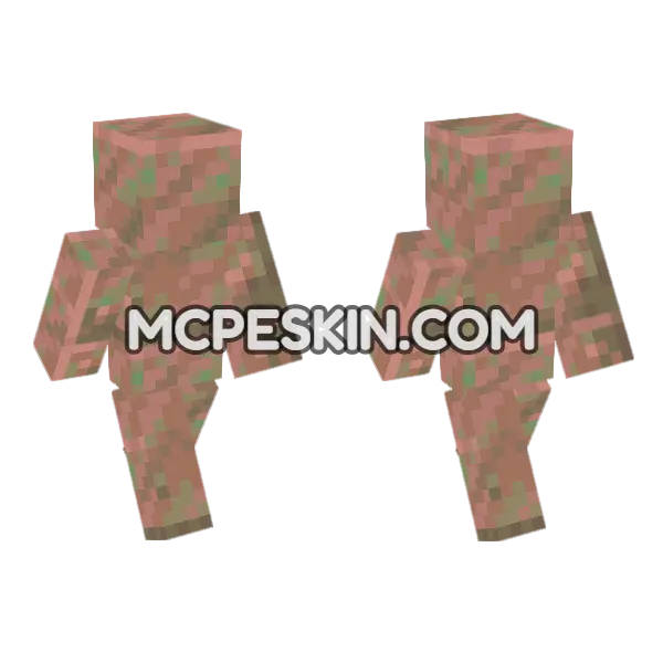 Exposed Copper Block Minecraft Bedrock skin, front and back