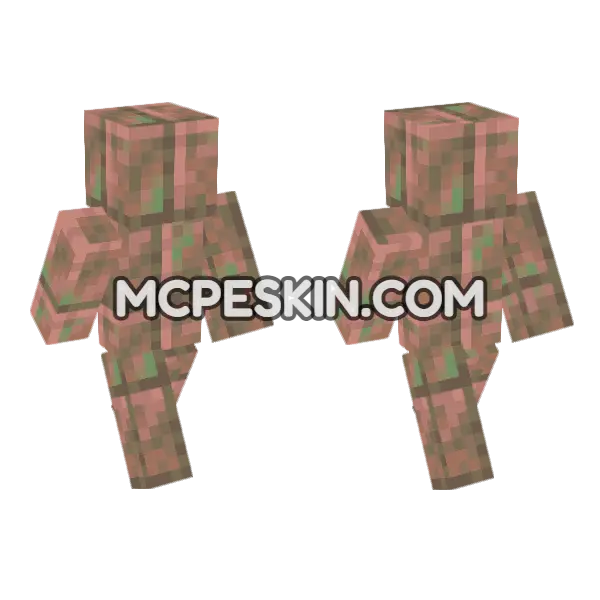 Exposed Cut Copper Minecraft Bedrock skin, front and back