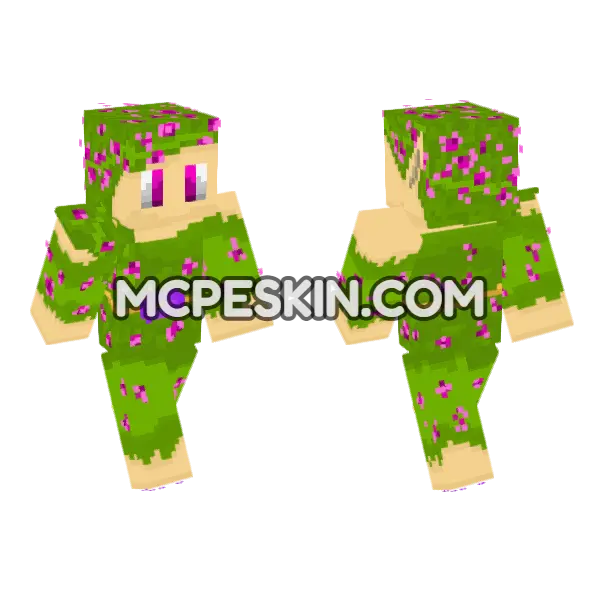 Fairy Meadow Outfit, front and back
