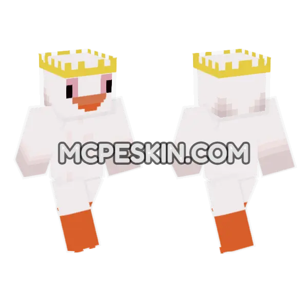 Fly High Minecraft Bedrock skin, front and back