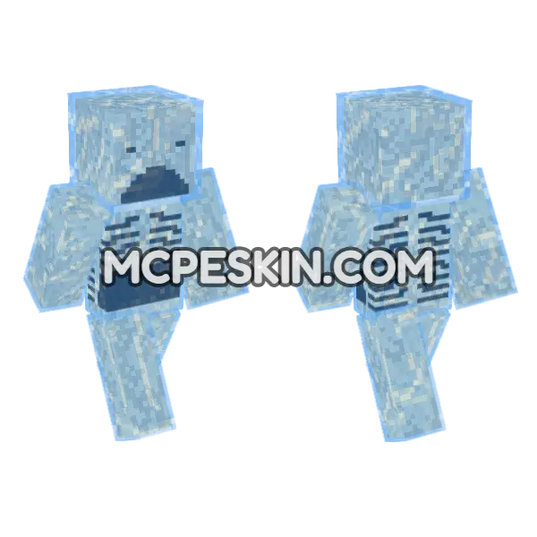 Frozen Skeleton In Ice Minecraft Bedrock skin, front and back