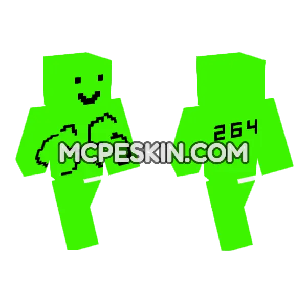 Gaming Shod Skin 264 Minecraft Bedrock skin, front and back