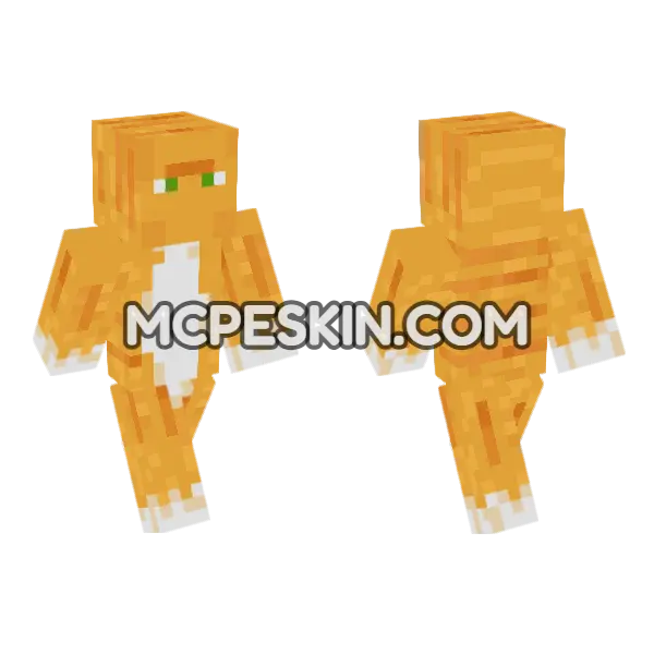 Ginger Cat Minecraft Bedrock skin, front and back