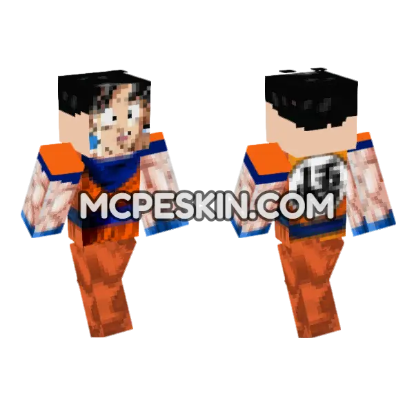 Goku Orange Gi, front and back