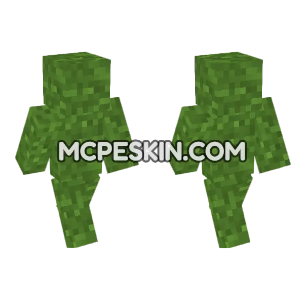 Grass Block Skin Minecraft Bedrock skin, front and back