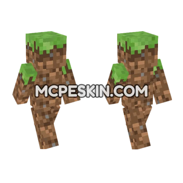 Grass Block Skin Minecraft Bedrock skin, front and back