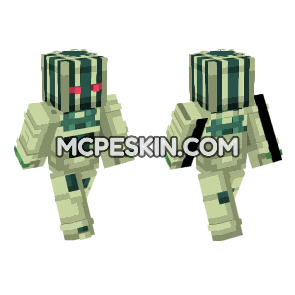 Green Day Skin Minecraft Bedrock skin, front and back