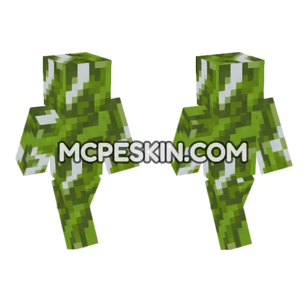 Green Glazed Terracotta Minecraft Bedrock skin, front and back