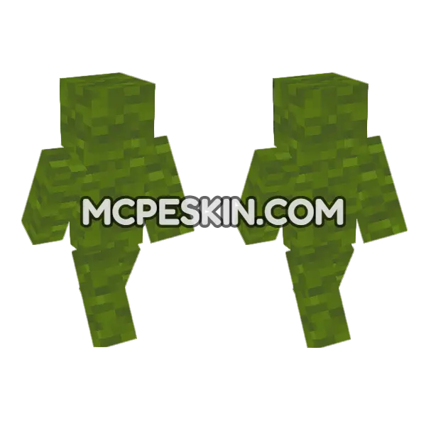 Green Wool Block Minecraft Bedrock skin, front and back