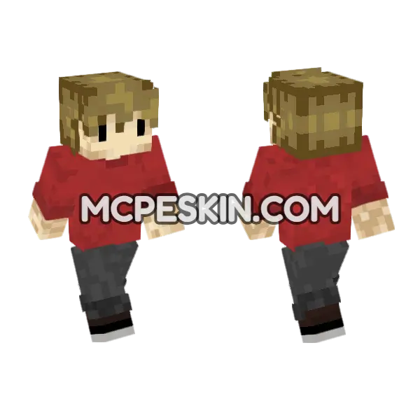 Grian Skin Minecraft Bedrock skin, front and back