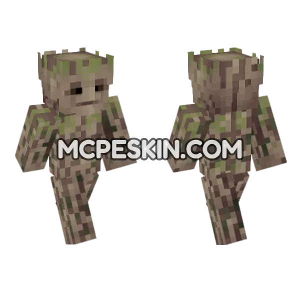 Grout Skin Minecraft Bedrock skin, front and back