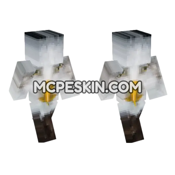 Handsome Bald Eagle Meme, front and back
