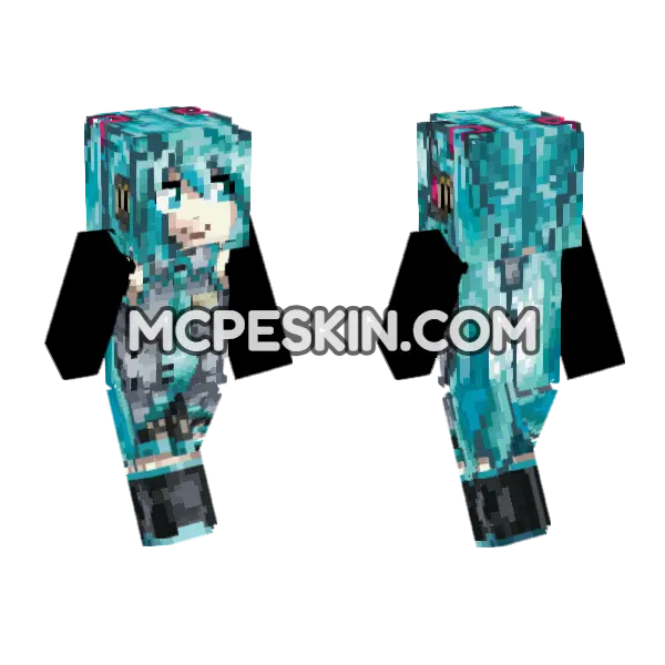 Hatsune Miku, front and back