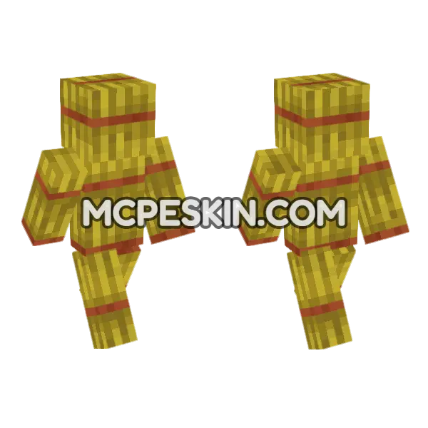 Hay Bale Minecraft Bedrock skin, front and back
