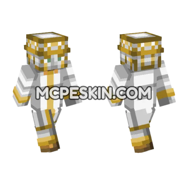 Heaven S Door Minecraft Bedrock skin, front and back