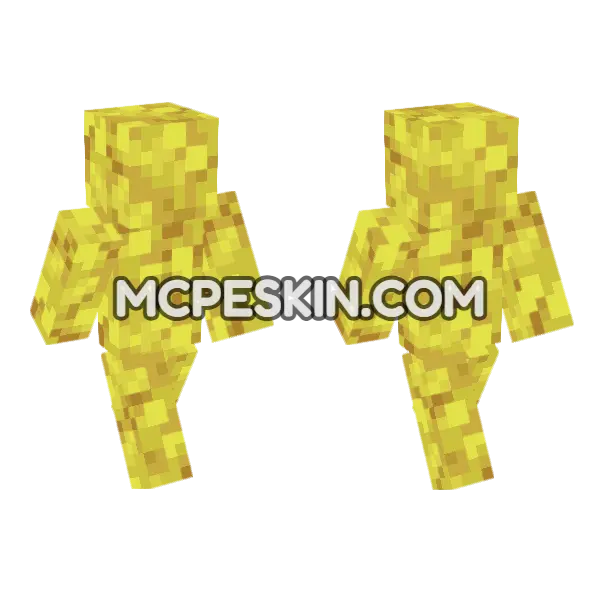 Horn Coral Block Minecraft Bedrock skin, front and back