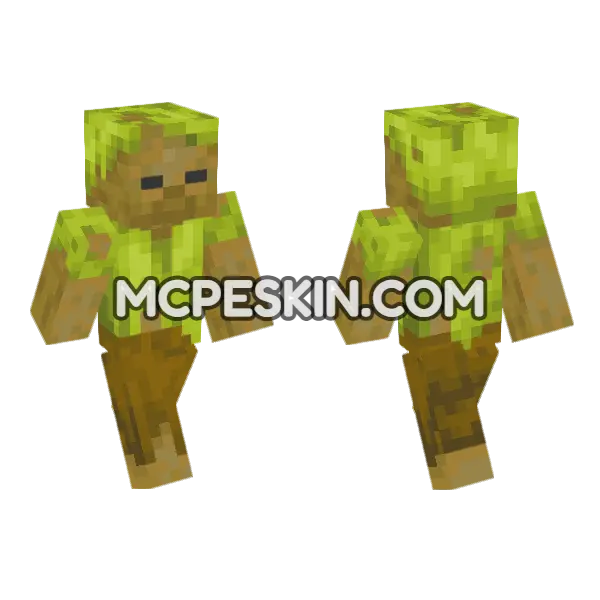 Husk Potato Minecraft Bedrock skin, front and back