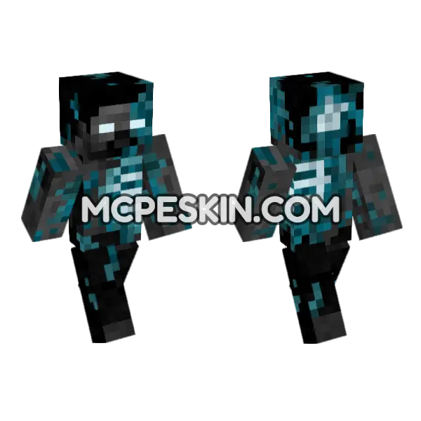 Inky Minecraft Bedrock skin, front and back