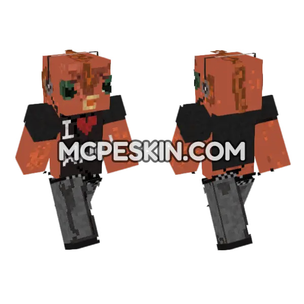 Jajolek Orange Cat, front and back