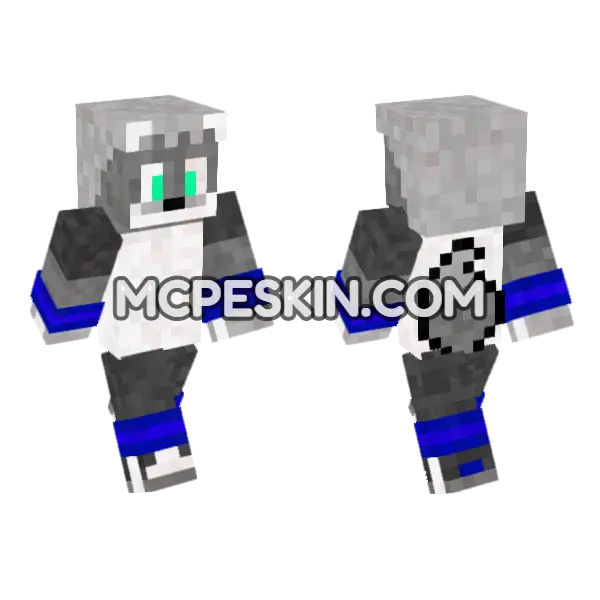 Leomeo Minecraft Bedrock skin, front and back