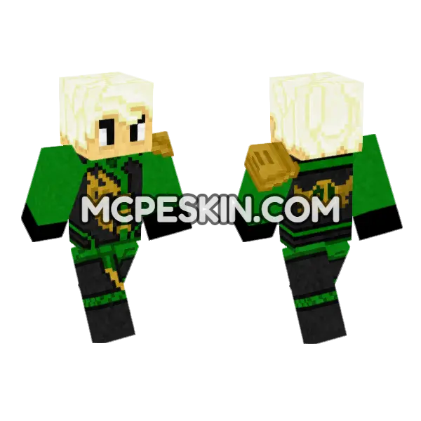 Lloyd Garmadon Skybound, front and back