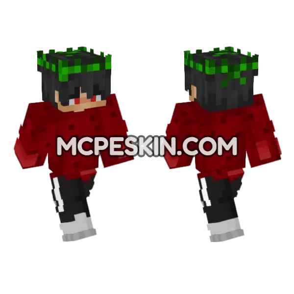 Mapicc Skin Minecraft Bedrock skin, front and back