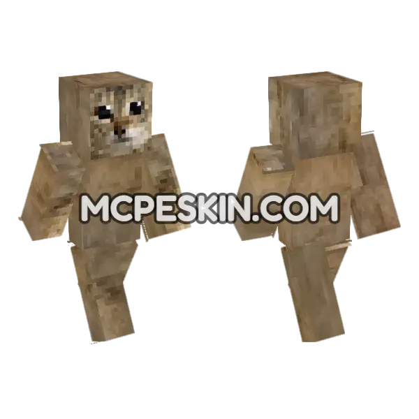 Mei Mei 6997125 Minecraft Bedrock skin, front and back
