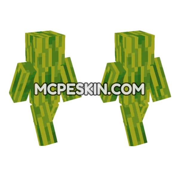 Melon Skin Minecraft Bedrock skin, front and back