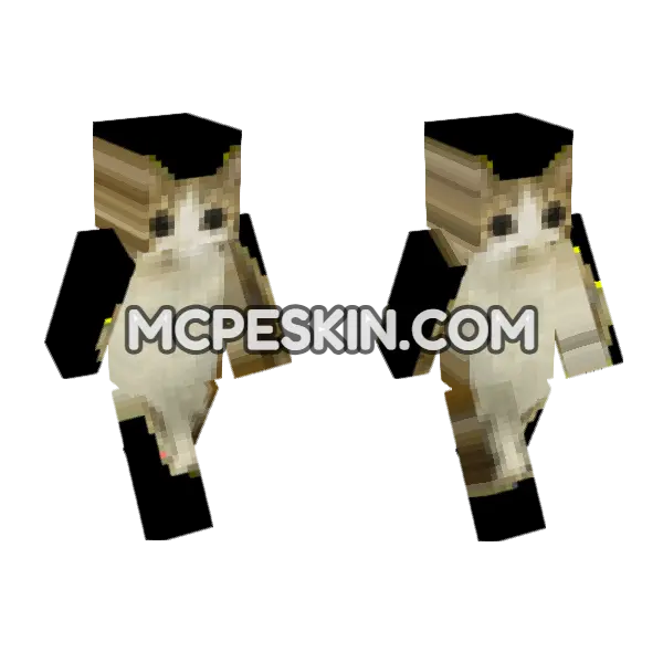 Meowl 6755298 Minecraft Bedrock skin, front and back