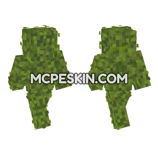 Mossy Green Outfit Minecraft Bedrock skin, front and back