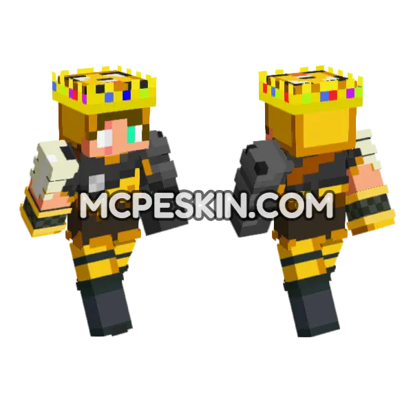Mrjake Bee Skin Minecraft Bedrock skin, front and back