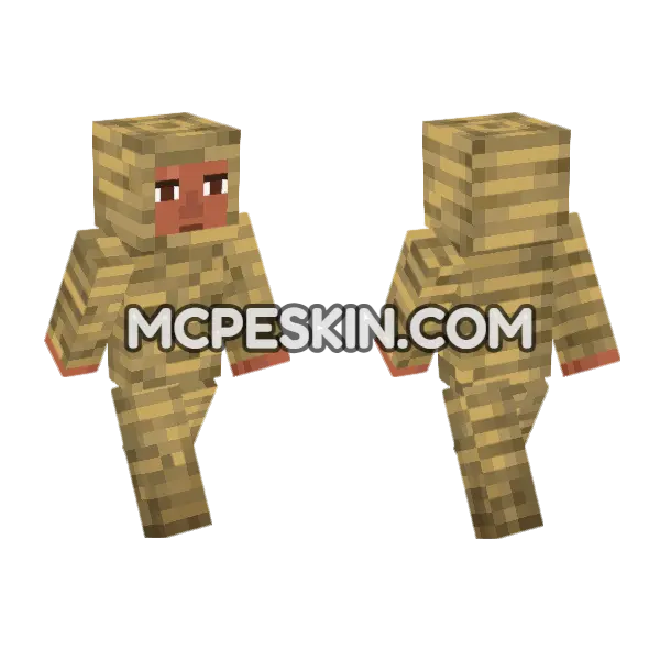 Mummified Noor, front and back
