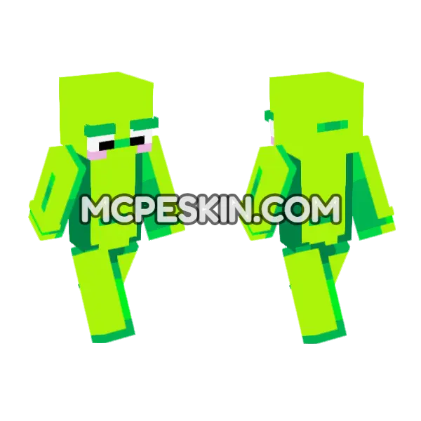 Not A Frog Minecraft Bedrock skin, front and back