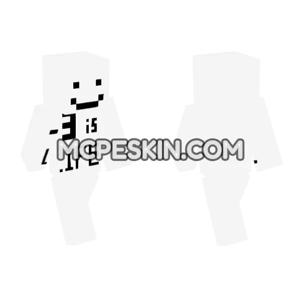 Numberslop2 Minecraft Bedrock skin, front and back