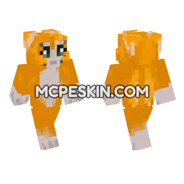Orange Cat Character Minecraft Bedrock skin, front and back