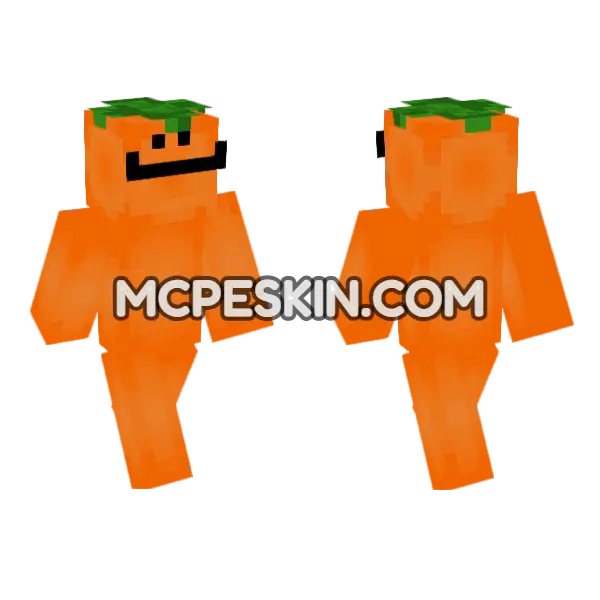 Orange Skin Minecraft Bedrock skin, front and back