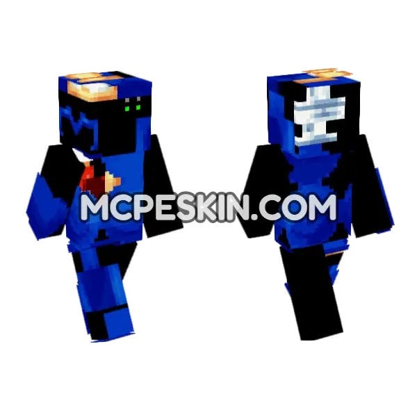 Outcome Memorys Sonic Minecraft Bedrock skin, front and back