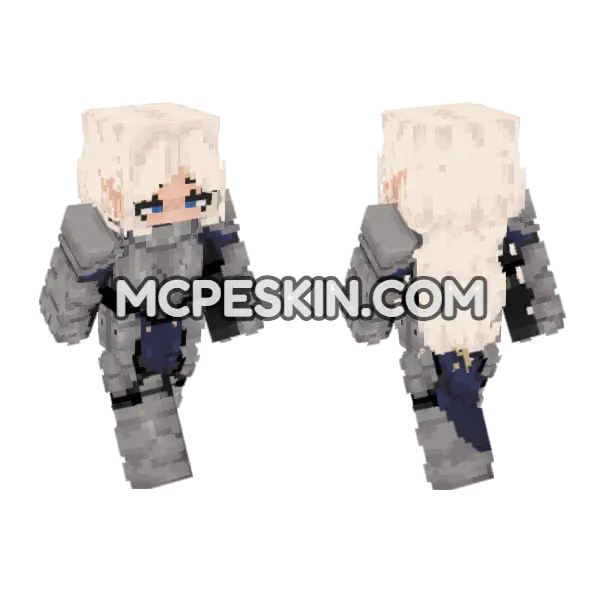 Paladin 6581791 Minecraft Bedrock skin, front and back