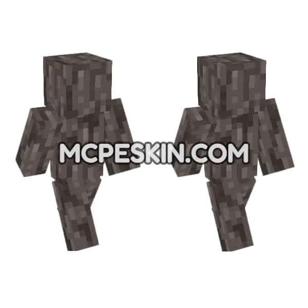 Pale Oak Log Minecraft Bedrock skin, front and back