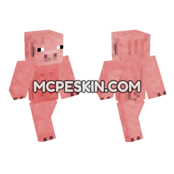 Pig Man Minecraft Bedrock skin, front and back