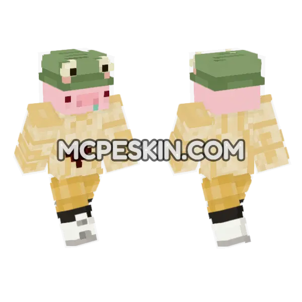 Pigzfrog Skin Minecraft Bedrock skin, front and back