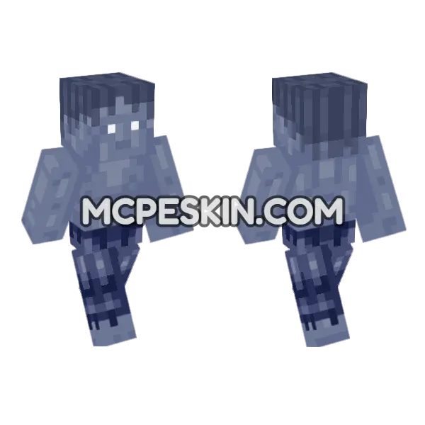 Plozoni Charon No Armor Minecraft Bedrock skin, front and back