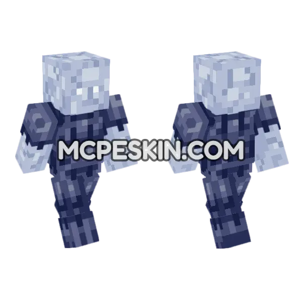 Plozoni Eris Bald Cracked Minecraft Bedrock skin, front and back