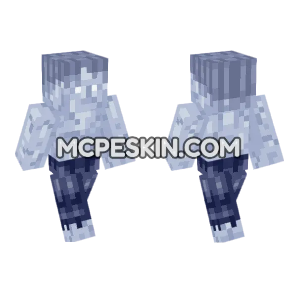 Plozoni Eris Cracked Minecraft Bedrock skin, front and back