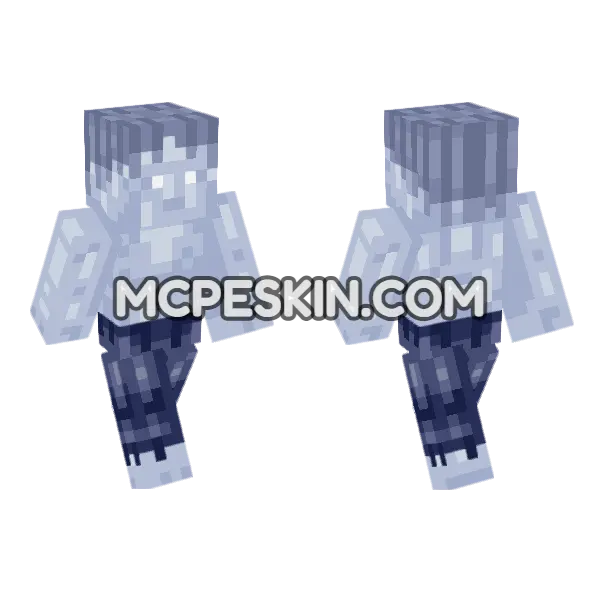 Plozoni Eris No Armor Minecraft Bedrock skin, front and back