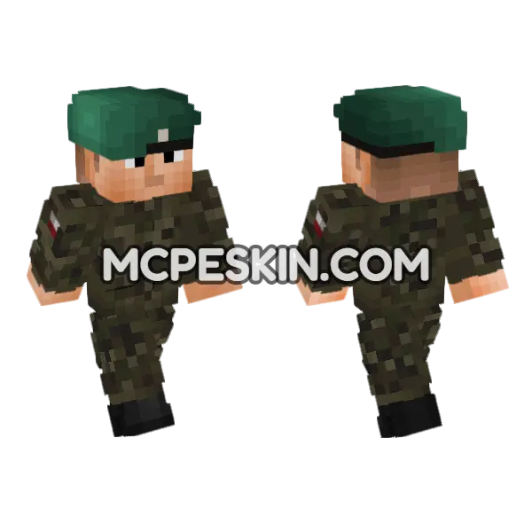 Polish Field Uni V1 Minecraft Bedrock skin, front and back