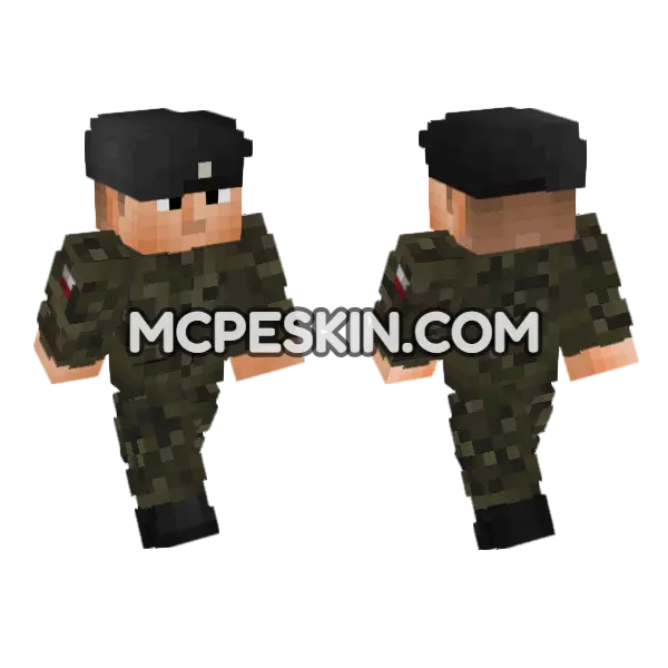 Polish Field Uni V2 Minecraft Bedrock skin, front and back