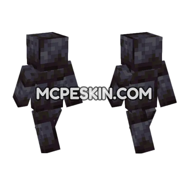 Polished Blackstone Bricks Minecraft Bedrock skin, front and back