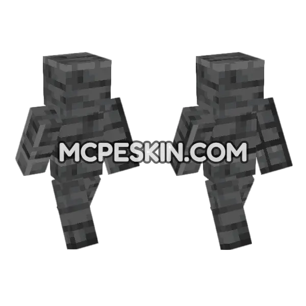 Polished Deepslate Minecraft Bedrock skin, front and back